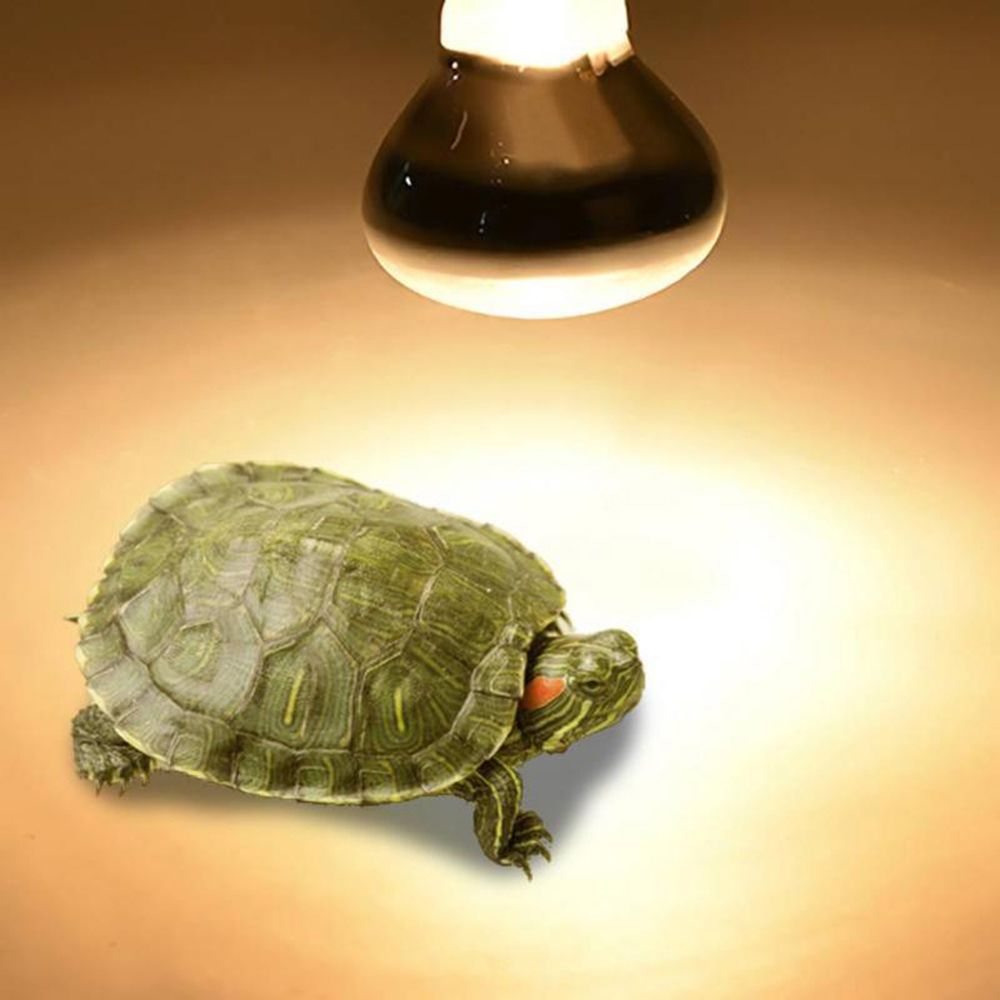 カメ用ヒートランプ ヒーター ハロゲン電球 日光浴用ライト  - Basking Bulb Halogen のレビューと価格