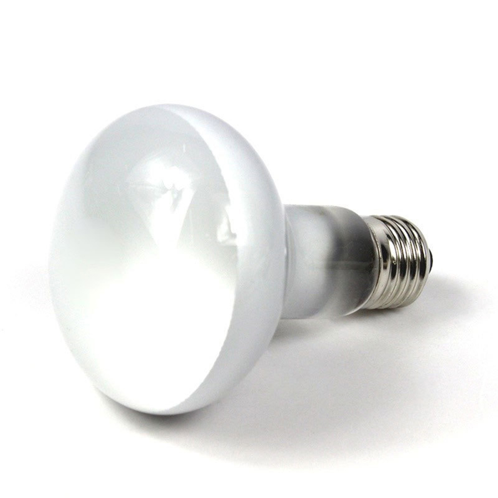 カメ用ヒートランプ ヒーター ハロゲン電球 日光浴用ライト  - Basking Bulb Halogen のレビューと価格
